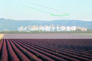 微山中国十七块金牌