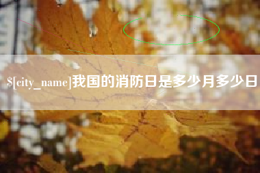 微山我国的消防日是多少月多少日