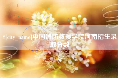 微山中国消防救援学院河南招生录取分数
