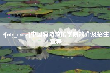 微山中国消防救援学院简介及招生章程