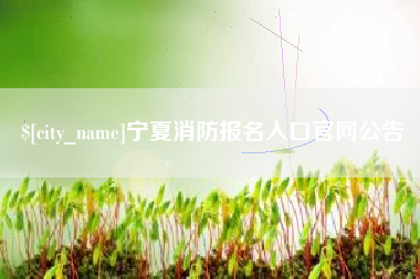 微山宁夏消防报名入口官网公告