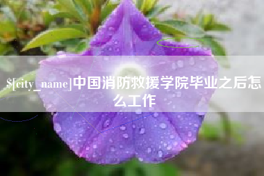 微山中国消防救援学院毕业之后怎么工作
