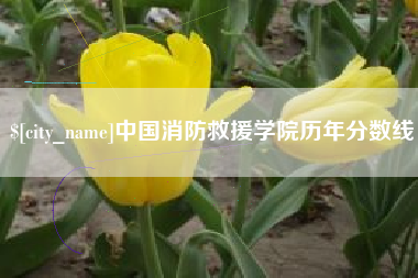 微山中国消防救援学院历年分数线