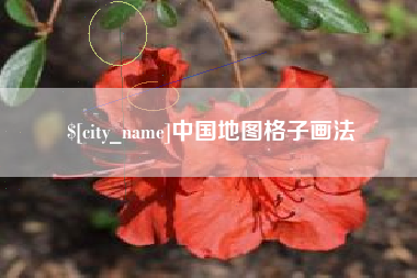 微山中国地图格子画法