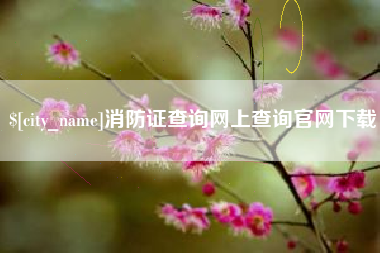 微山消防证查询网上查询官网下载