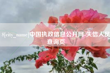 微山中国执政信息公开网-失信人员查询页