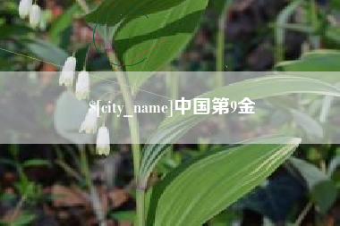 微山中国第9金