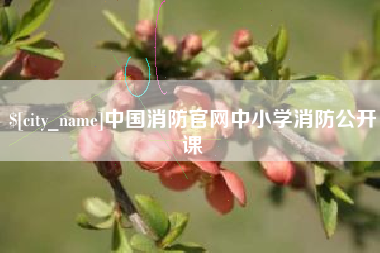 微山中国消防官网中小学消防公开课