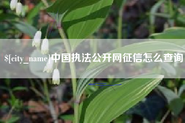 微山中国执法公开网征信怎么查询