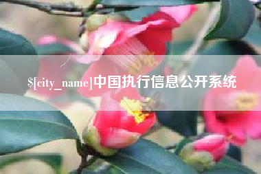微山中国执行信息公开系统