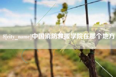 微山中国消防救援学院在那个地方