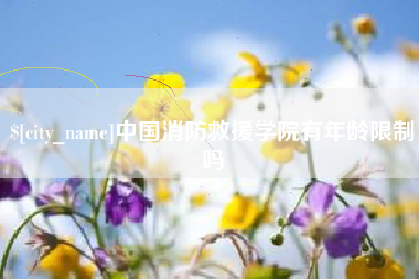 微山中国消防救援学院有年龄限制吗