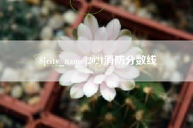 微山2021消防分数线