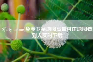 微山免费卫星地图高清村庄地图看到人实时下载