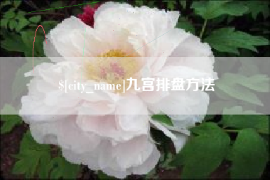 微山九宫排盘方法