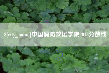 微山中国消防救援学院2018分数线