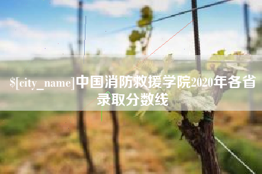 微山中国消防救援学院2020年各省录取分数线