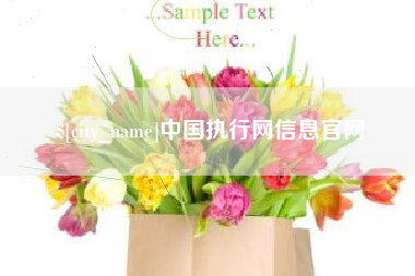 微山中国执行网信息官网