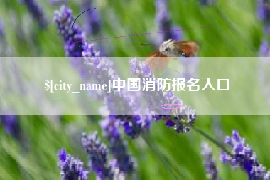 微山中国消防报名入口