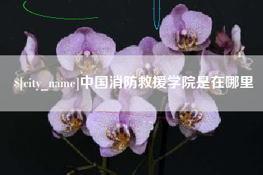 微山中国消防救援学院是在哪里