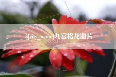 微山九宫格龙图片