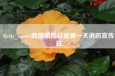 微山我国消防日是哪一天消防宣传日