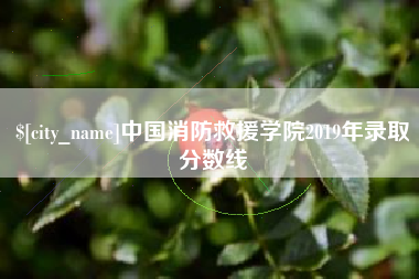 微山中国消防救援学院2019年录取分数线