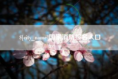 微山国家消防报名入口