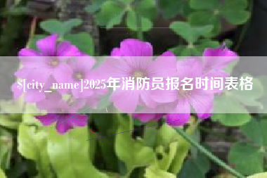 微山2025年消防员报名时间表格