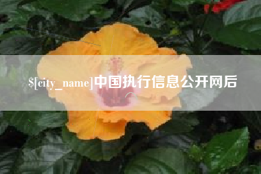 微山中国执行信息公开网后