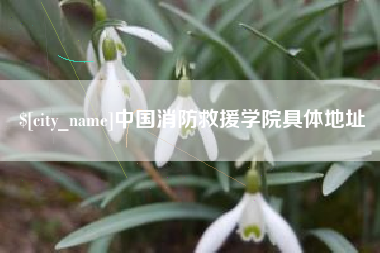 微山中国消防救援学院具体地址