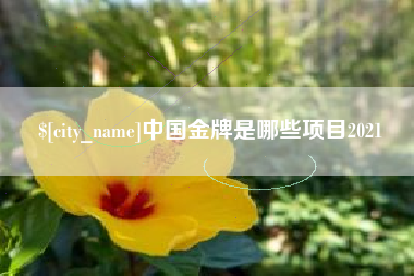 微山中国金牌是哪些项目2021