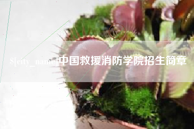 微山中国救援消防学院招生简章