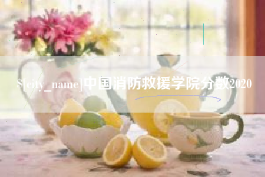 微山中国消防救援学院分数2020