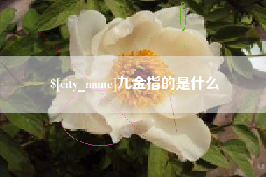 微山九金指的是什么