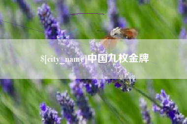 微山中国九枚金牌