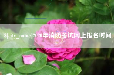 微山2020年消防考试网上报名时间
