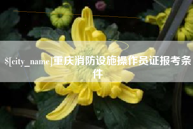 微山重庆消防设施操作员证报考条件