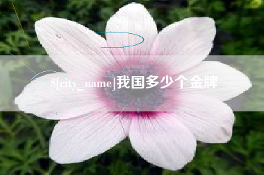 微山我国多少个金牌