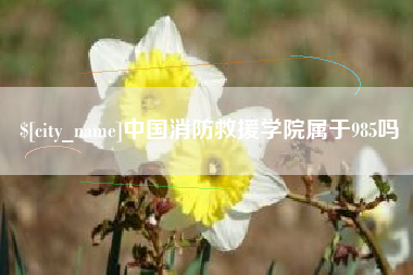 微山中国消防救援学院属于985吗
