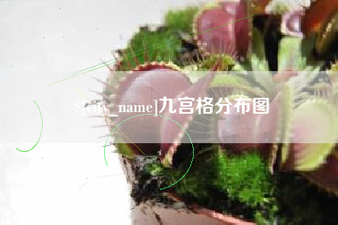 微山九宫格分布图
