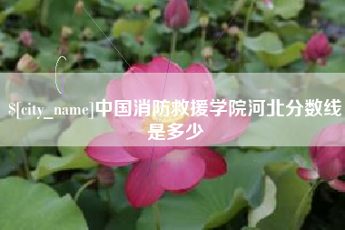 微山中国消防救援学院河北分数线是多少