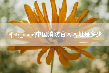 微山中国消防官网网址是多少