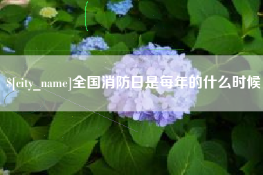 微山全国消防日是每年的什么时候