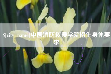 微山中国消防救援学院招生身体要求
