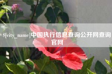 微山中国执行信息查询公开网查询官网