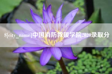 微山中国消防救援学院2020录取分
