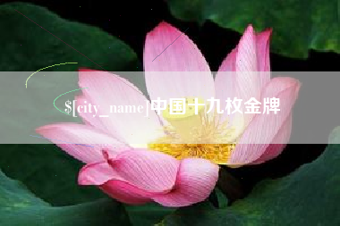 微山中国十九枚金牌