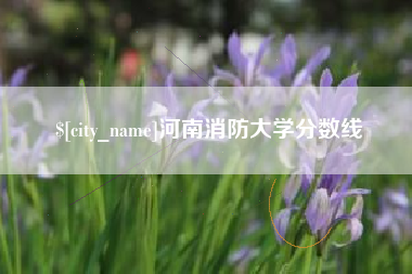 微山河南消防大学分数线