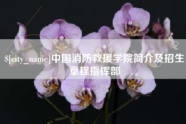 微山中国消防救援学院简介及招生章程指挥部